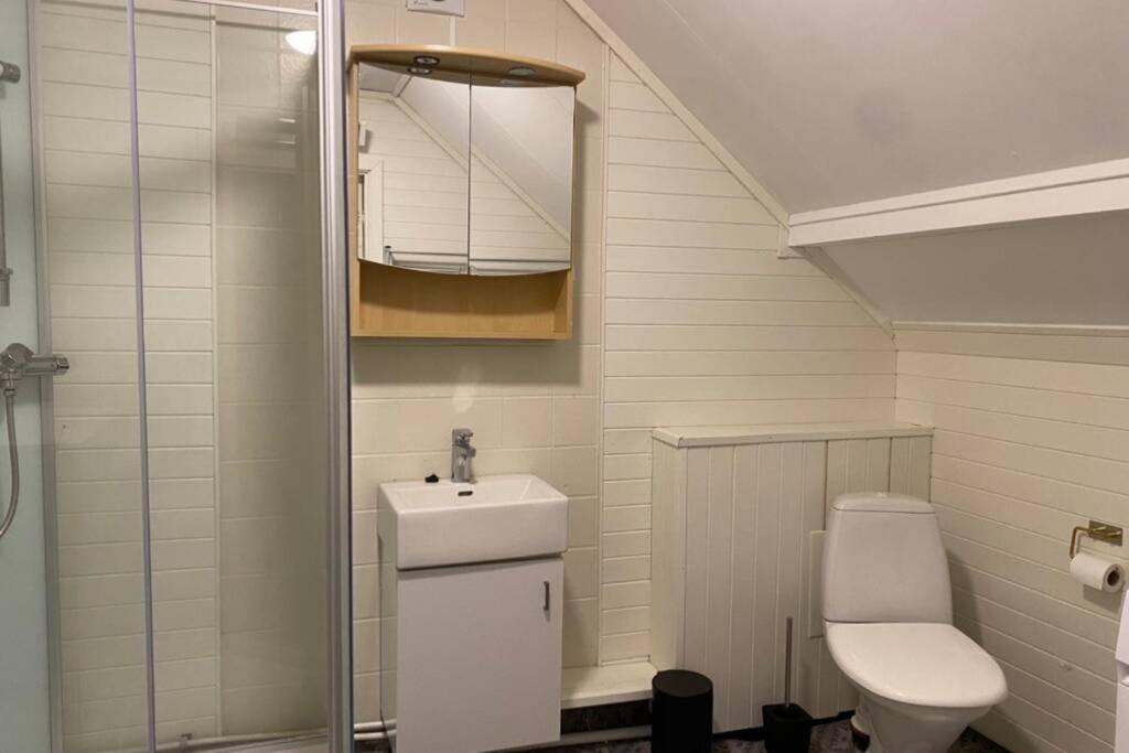 Koselig Leilighet Sentralt I Svolvaer Apartment Bagian luar foto